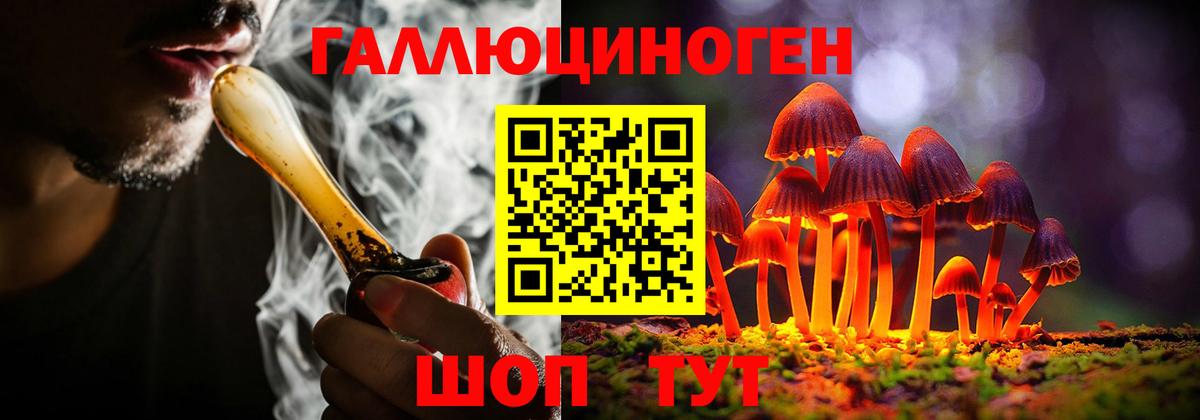 Ачинск  Псилоцибиновые грибы мицелий  Вход с VPN 